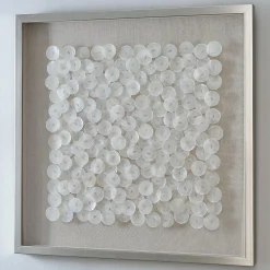 Placuna Wall Art