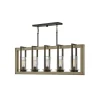 Rappahannock Indoor/Outdoor Linear Chandelier