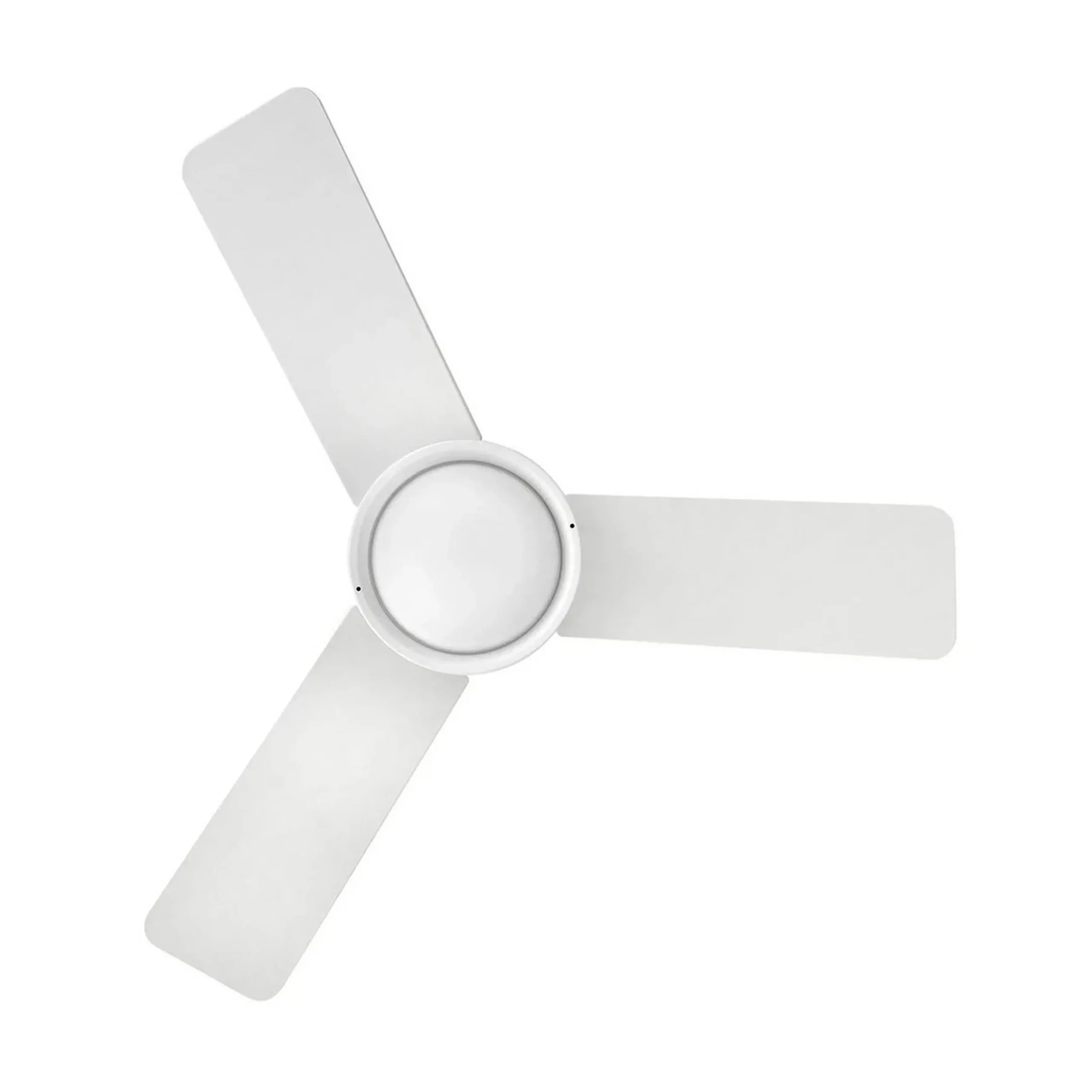 36" Ross LED Indoor / Outdoor Ceiling Fan