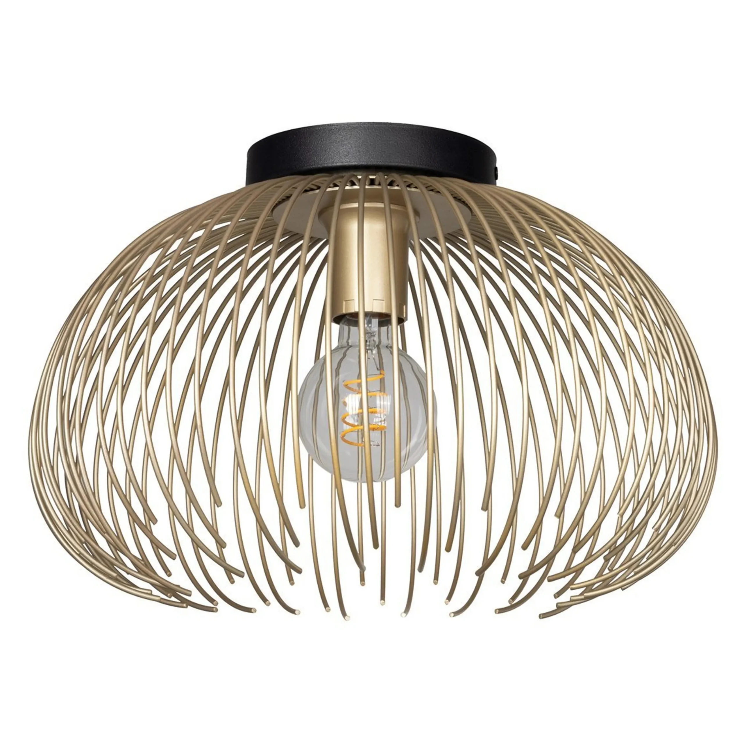 Salsola Convertible Ceiling Light