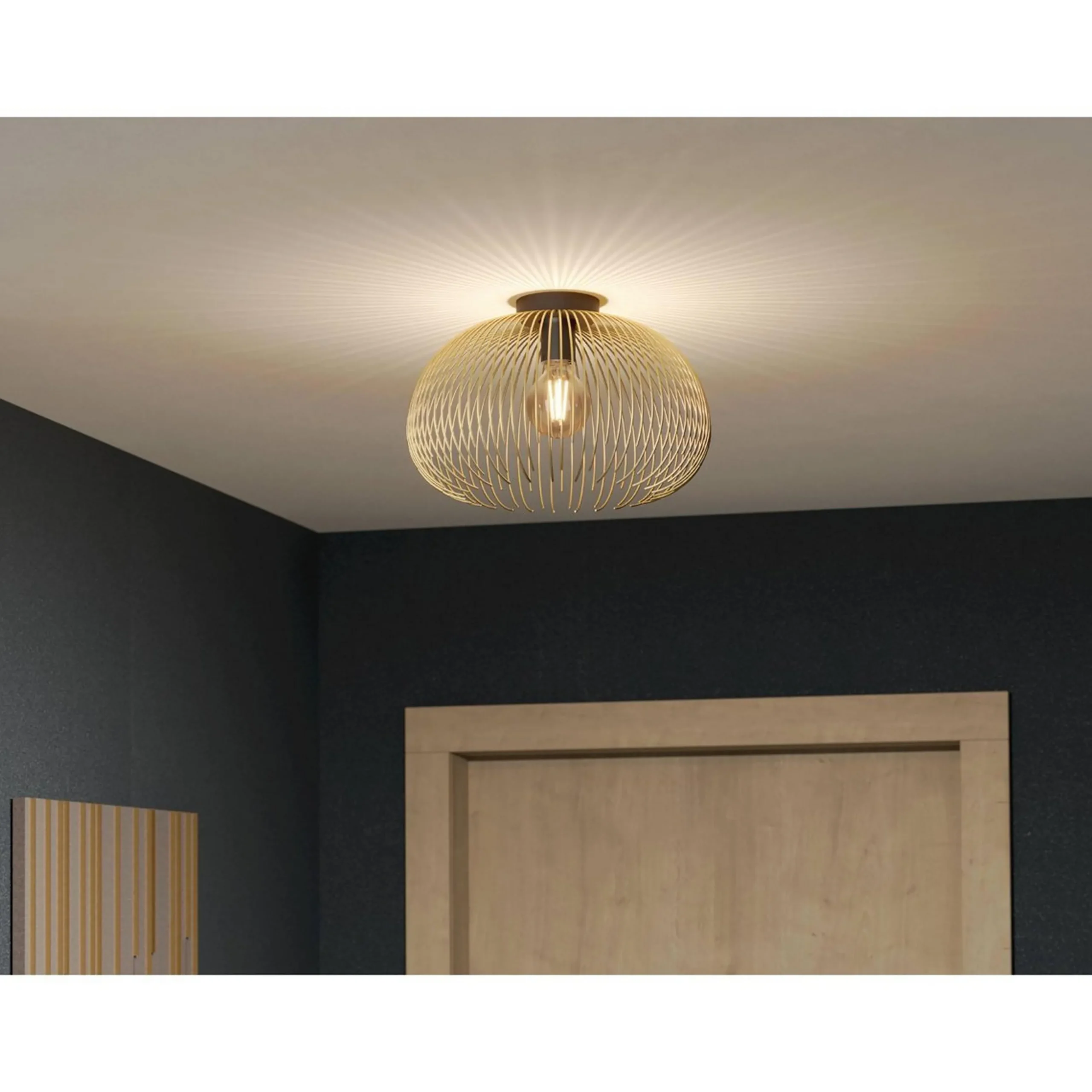 Salsola Convertible Ceiling Light