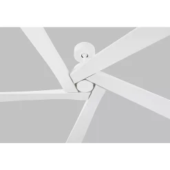 56