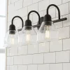 Seedy Gooseneck Vanity Light - 3 Light