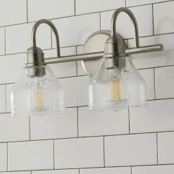 Seedy Gooseneck Vanity Light - 2 Light