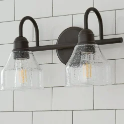 Seedy Gooseneck Vanity Light - 2 Light