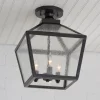Shenandoah Outdoor Ceiling Light