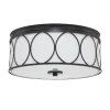 Simply Blake Ceiling Light