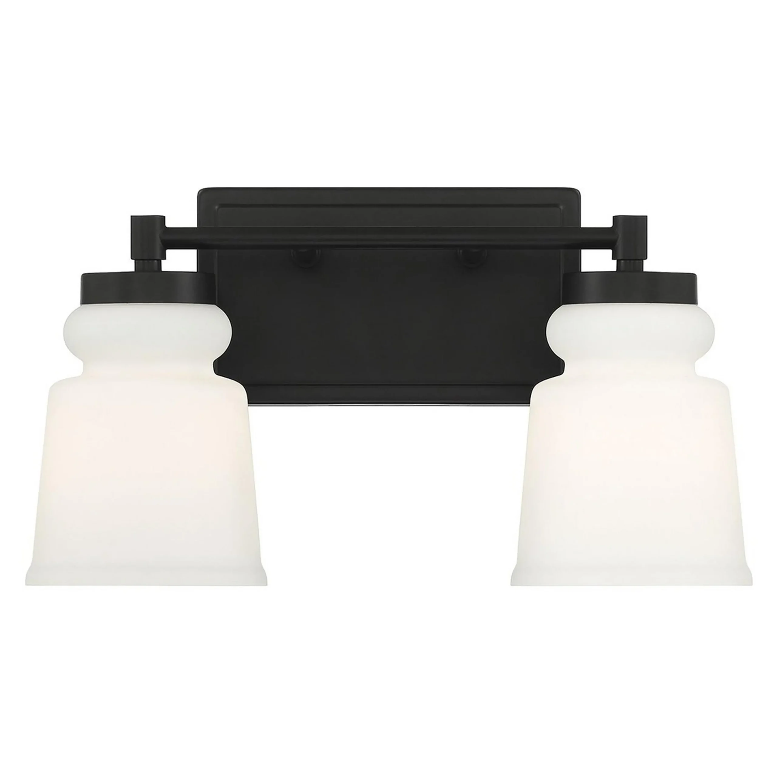 Snowmelt Vanity Light - 2 Light