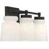 Snowmelt Vanity Light - 3 Light