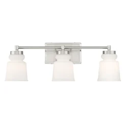 Snowmelt Vanity Light - 3 Light