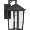 Speckled Lantern Outdoor Sconce