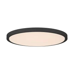 Svelte LED Ceiling Light