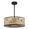25" Transitional Sommer Ceiling Fandelier