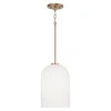 Verlice Pendant