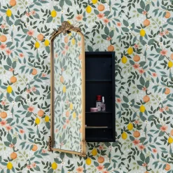 Walmsley Medicine Cabinet Mirror