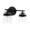 Willia Vanity Light - 2 Light